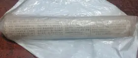 5334863 POLARIS Spacer