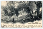 1902 Edges Of The Rhone Willows Trail Geneva Switzerland Antique Postcard. Fixed Price $13.48.