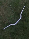 Yamaha Yfz450 Pro Taper Handlebars Used 5d3-26111-12-00. Fixed Price $50.00.